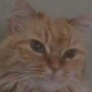 Meet your Posher, Esperanza